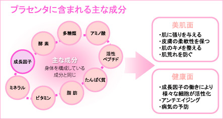 プラセンタ プラセンタ